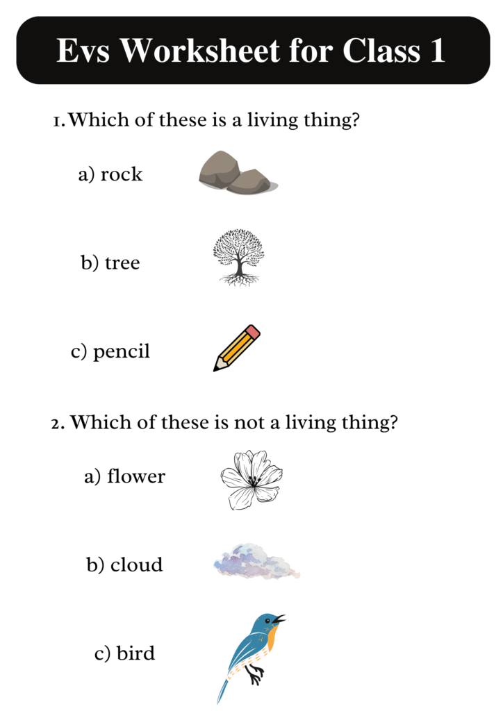 evs worksheet for class 1