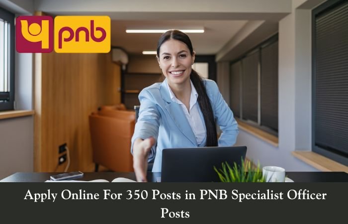 Apply Online For 350 Posts in PNB Specialist Officer Posts